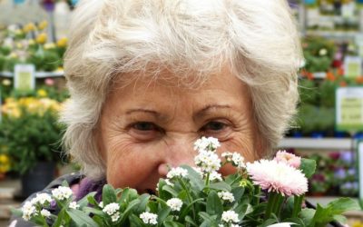 Offrez un cadeau hors du commun à votre mamie avec un livre personnalisé
