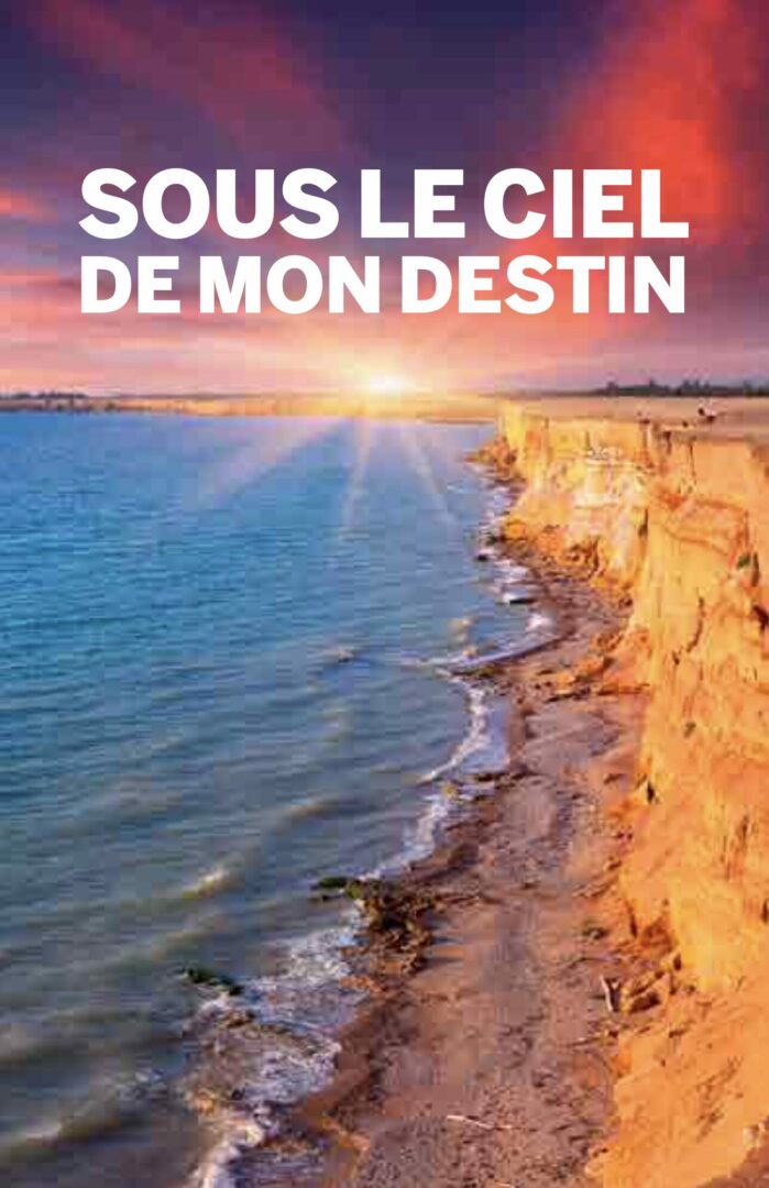 Couverture livre intime
